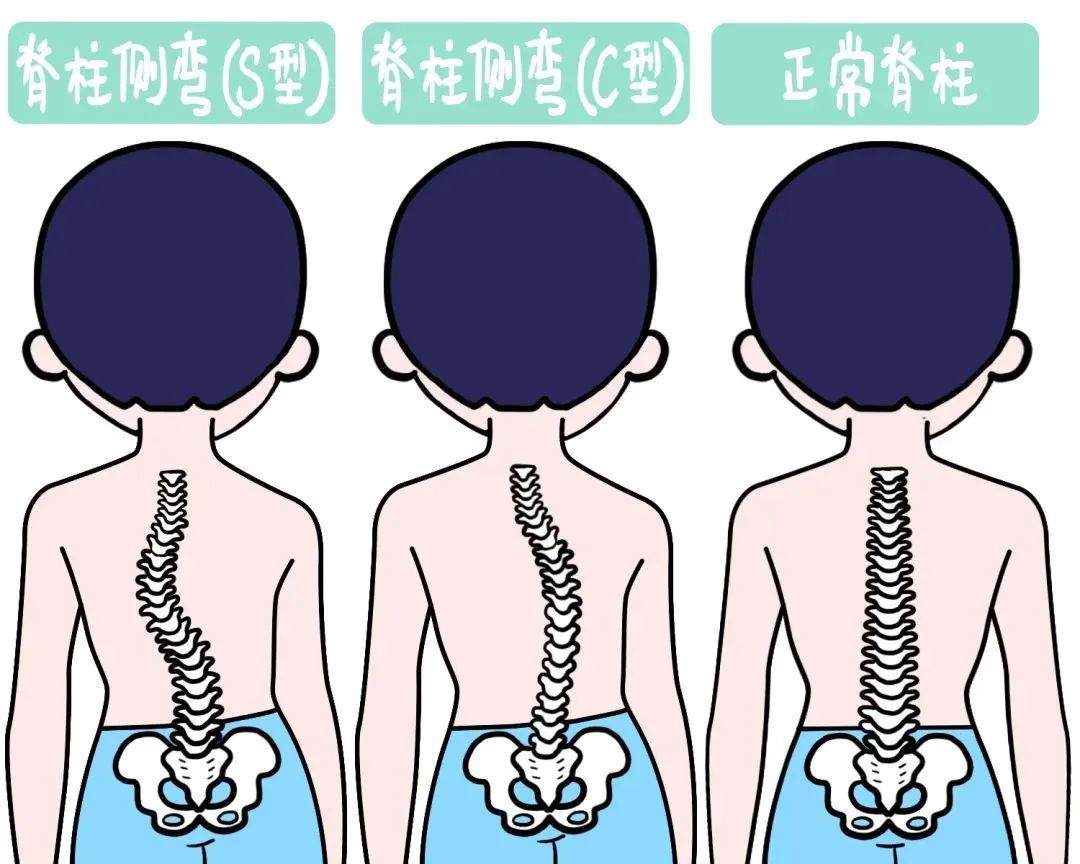 第246页