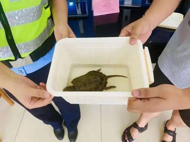 地方新闻 第23页